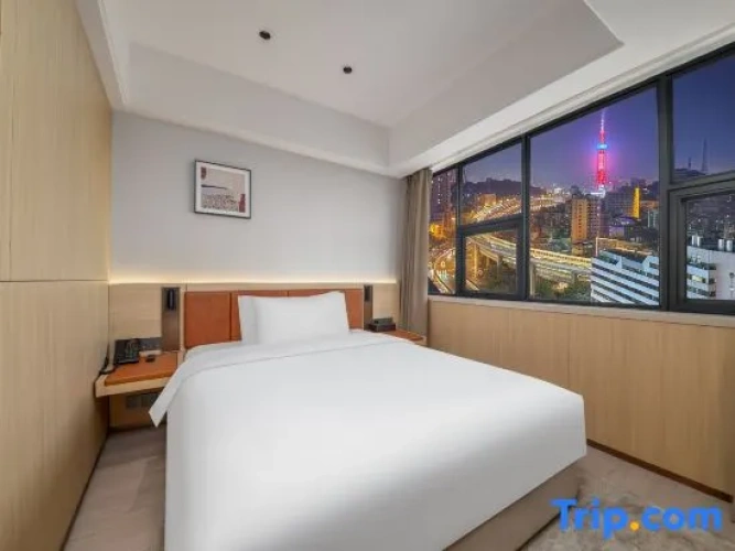 Executive Single Suite