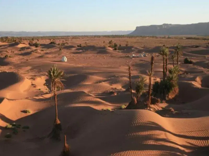 Sahara Safari Camp