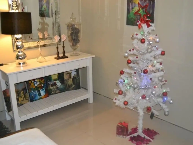 2 Bedrooms Apartment with sea view