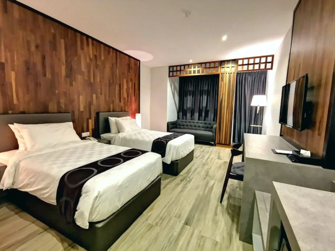 Deluxe Twin room with city view