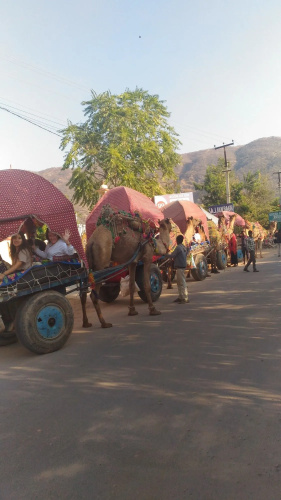 Sajjan Bagh Resort