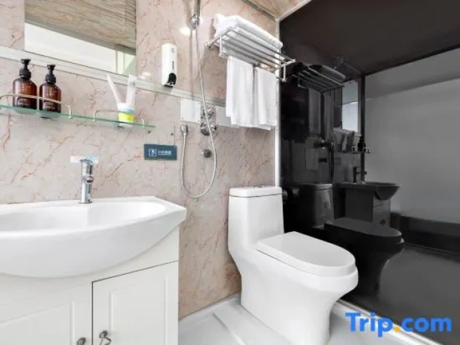 Single Apartment