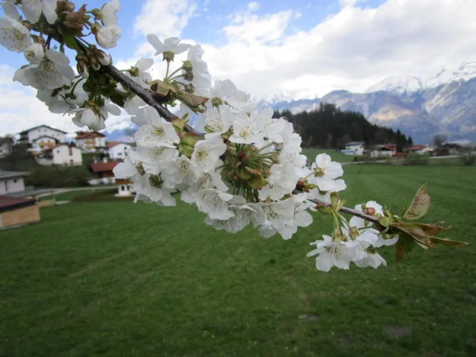 Apartments FEICHTNER / Tulfes / Tirol