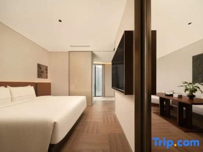 Executive Double Suite with city view