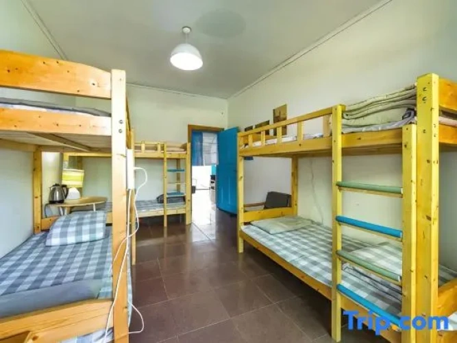 Bed in Dorm (female dorm)