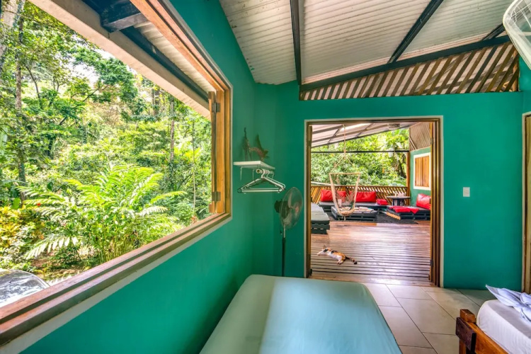 Green Jungle House