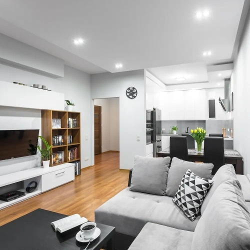 1 Bedroom Apartment