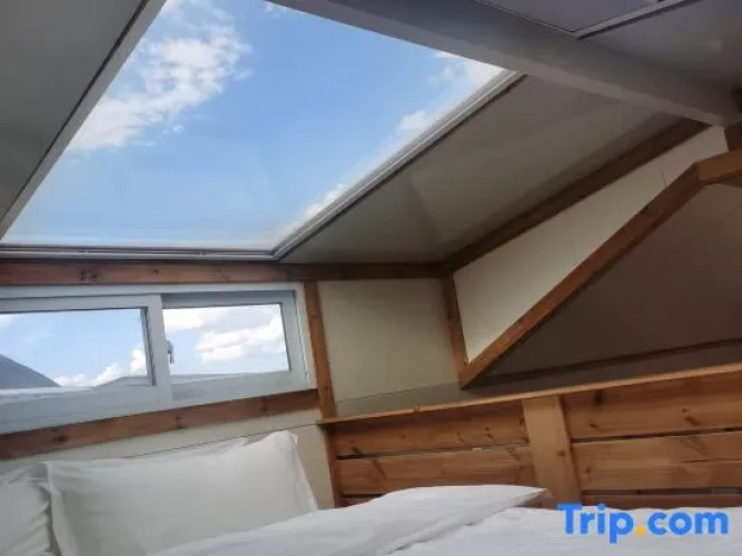 Standard Double room with view
