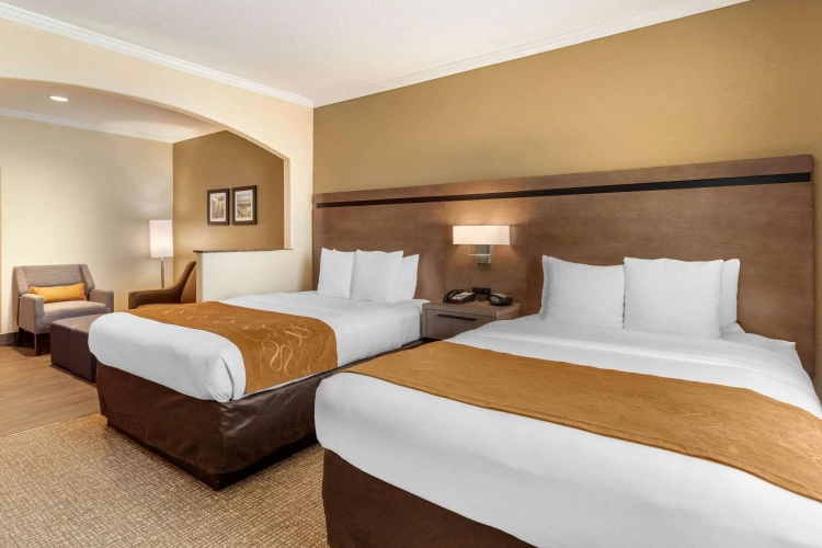 Quadruple Suite