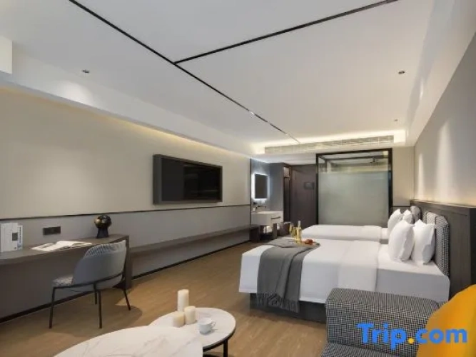 Standard Twin room with city view