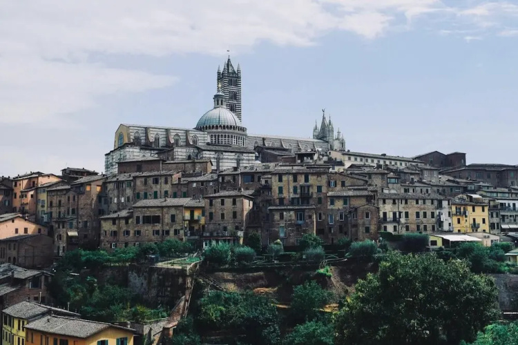 Rinidia Siena Celso Cittadini