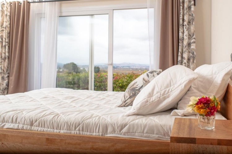 Standard room with mountain view