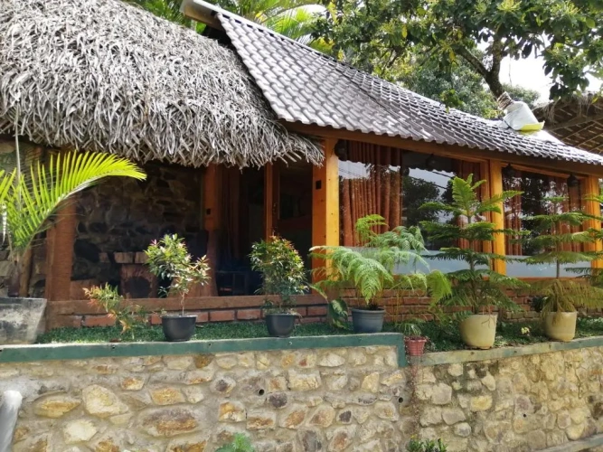 Cottage