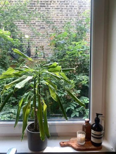 Rustic 2 Bedroom Flat in Brixton