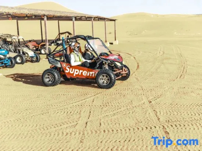 Shapotou Bantuan Camping Camp
