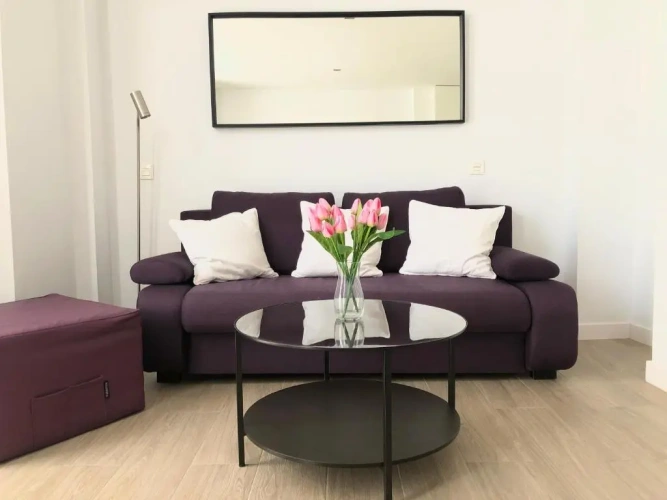 Standard Apartment