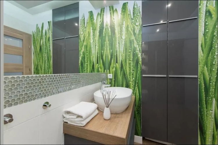 Loko Apartments Bracka