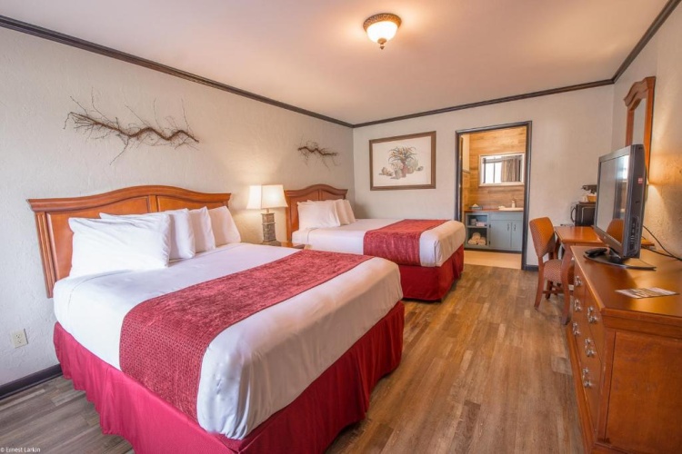 Standard Double room with pool view