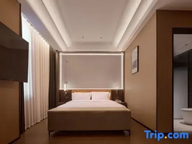 1 Bedroom Suite