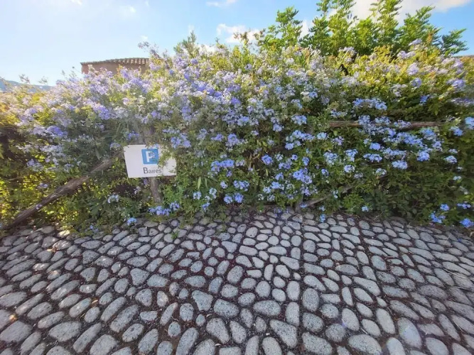 Villa Borgo Baires