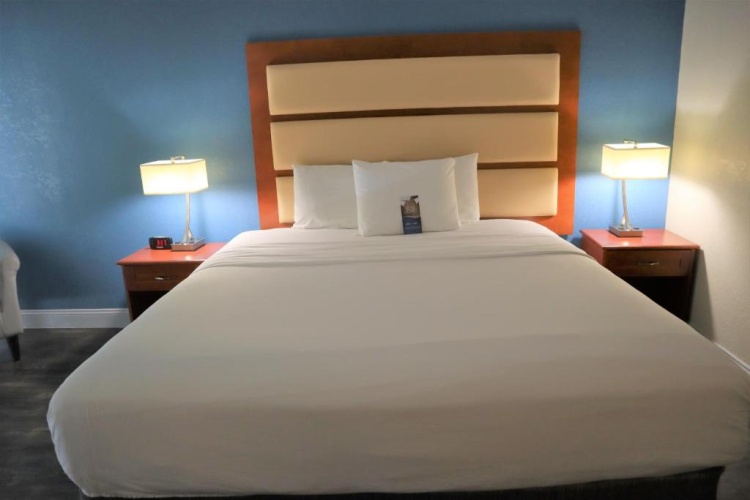 1 Bedroom Double Suite