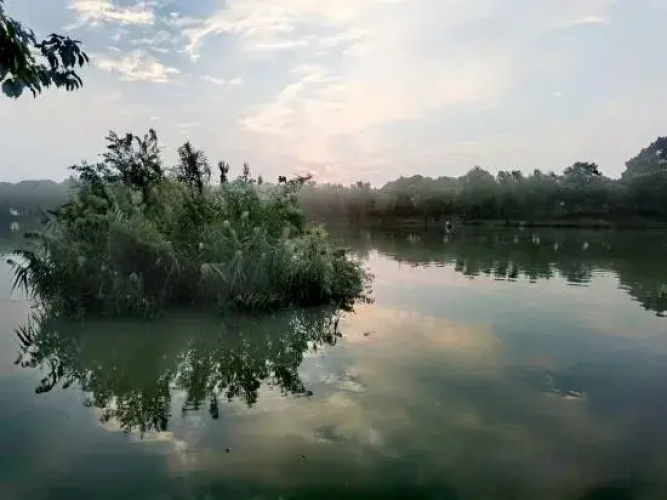Zhoumo Homestay