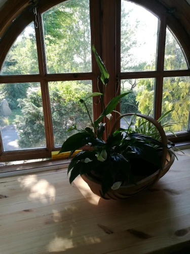 Bella Bed and Breakfast Stevns
