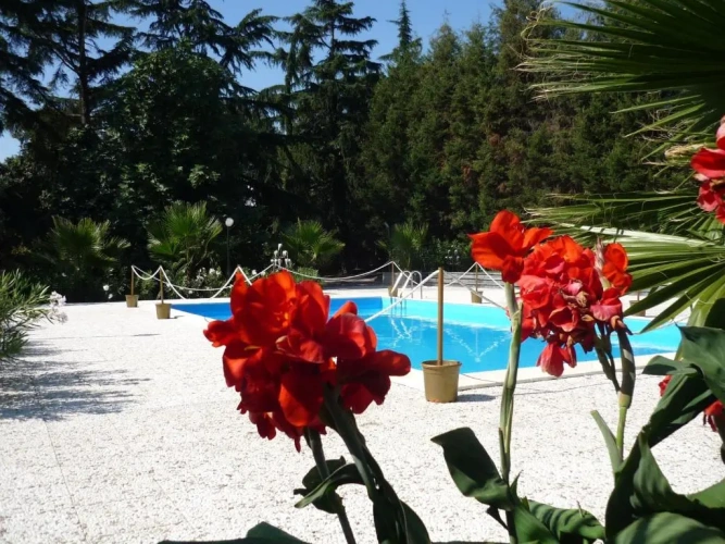 Deluxe Villa