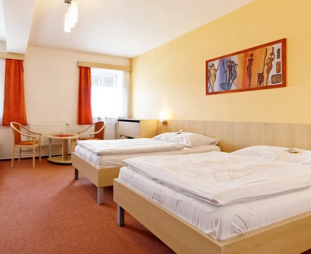1 Bedroom Economy Double room