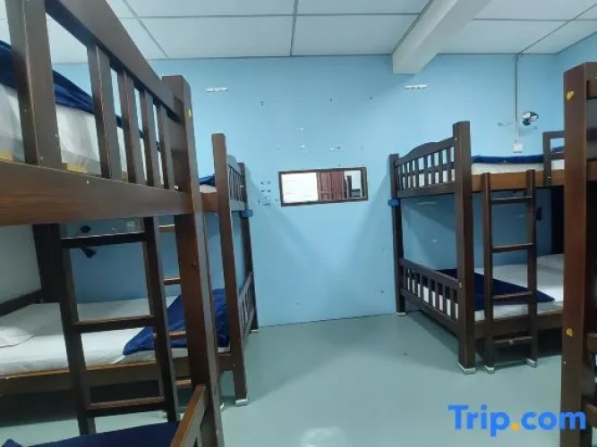 Bed in Dorm
