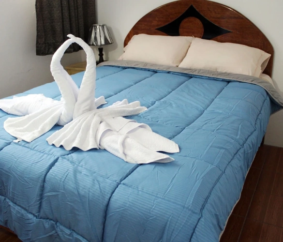 Standard Double room with city view
