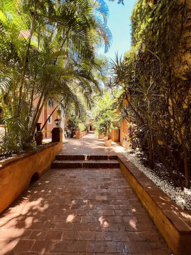 Paseo Colonial - Ermitage 5