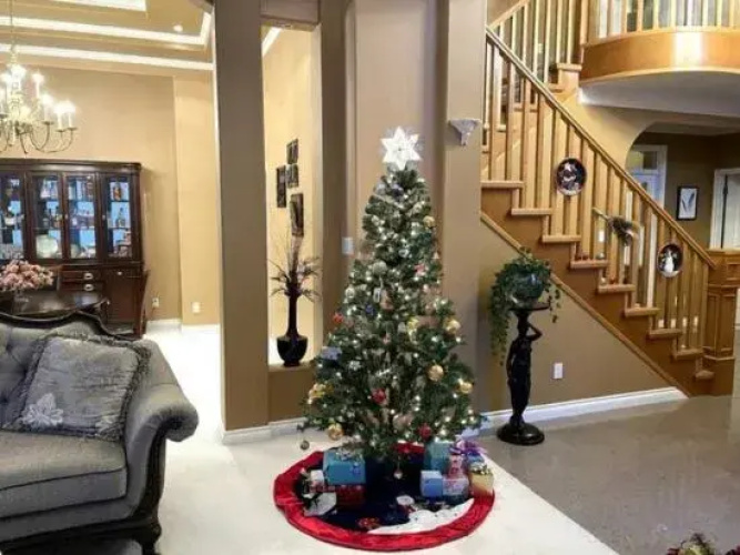 Beautiful House