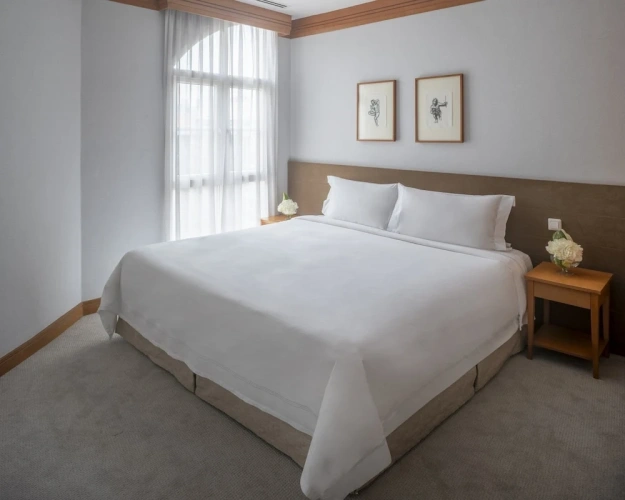 Deluxe Double Apartment with balcony