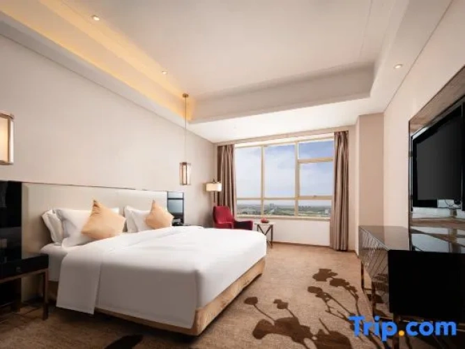 Business Suite