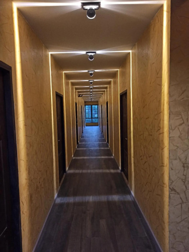 Bearry Loft 2