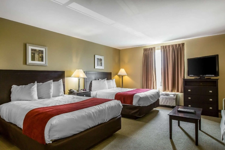 Quadruple Suite