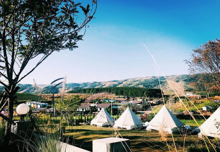 Kondee Cino Glamping
