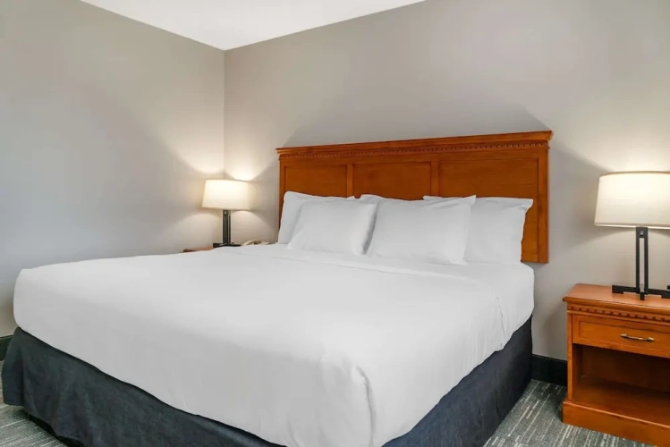 1 Bedroom Suite