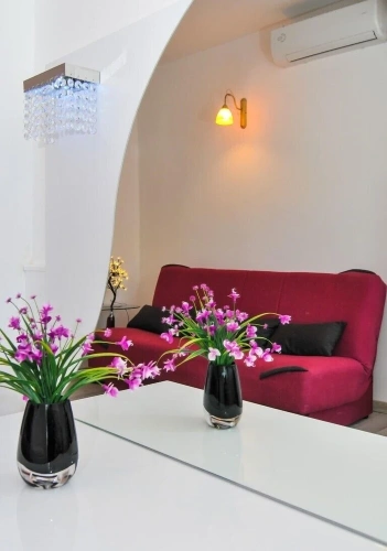 1 Bedroom Comfort Apartment with garden view