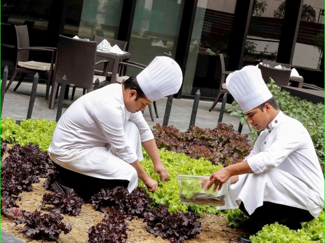 Pullman New Delhi Aero - An Accorhotels Brand photo 31