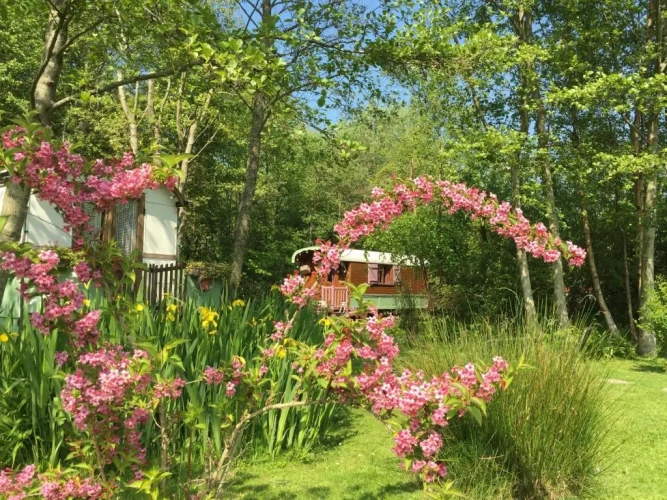 Standard room with garden view
