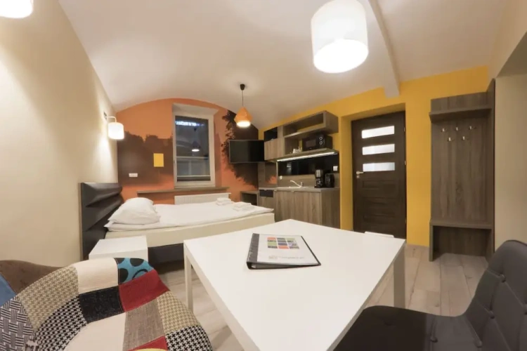 1 Bedroom Classic Basement Studio