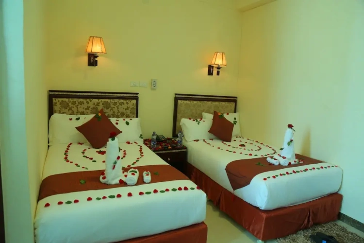 Standard Twin room