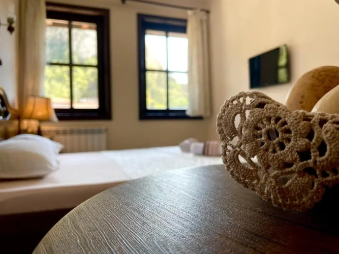 1 Bedroom Suite