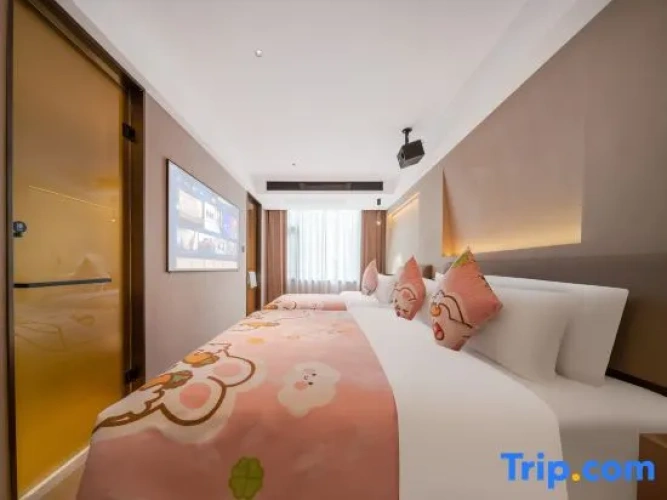 Standard Double room with city view
