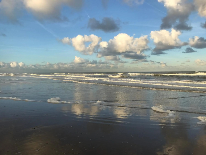 Kust 2