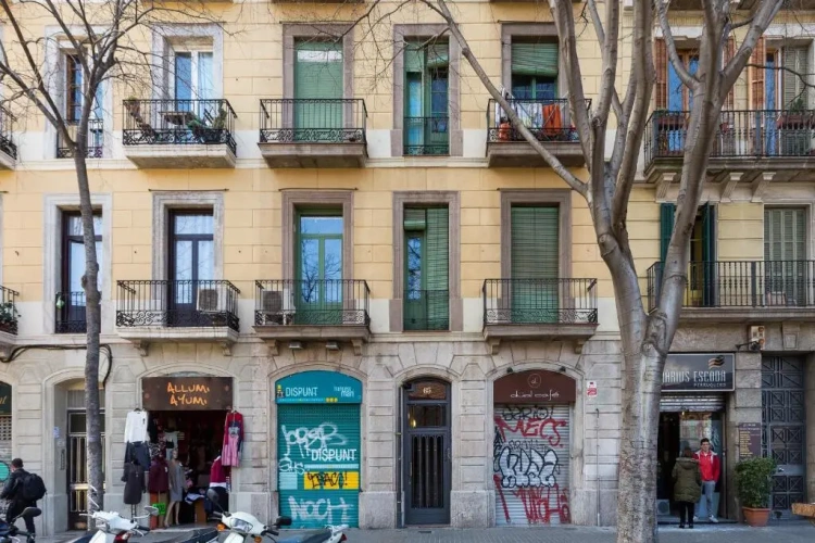 1 Bedroom Apartment