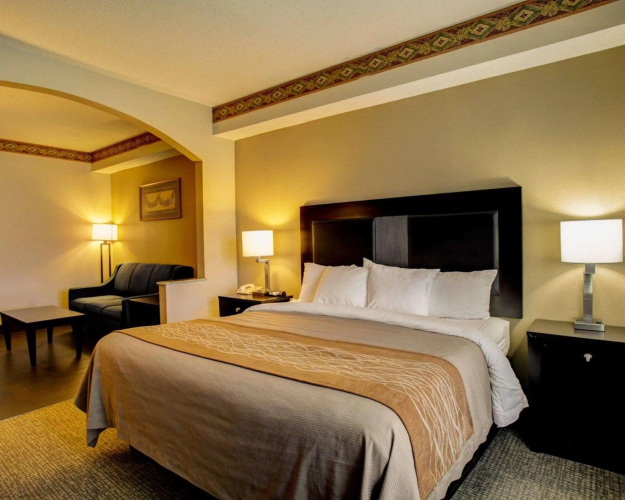 Comfort Inn & Suites Seguin