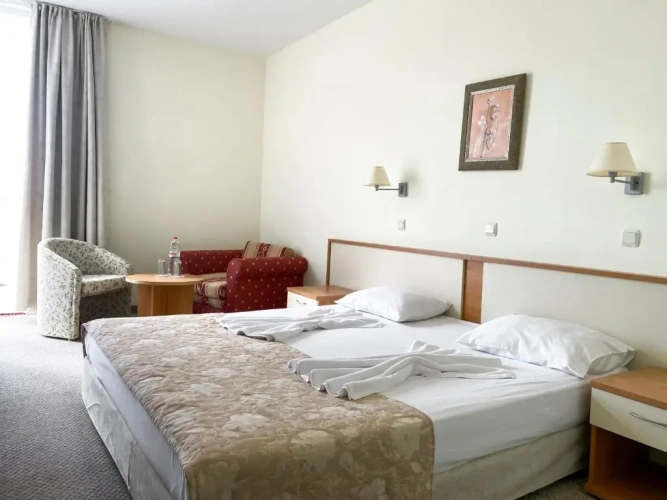 Standard Double room with balcony and with park view